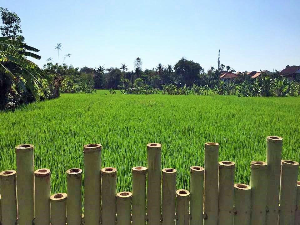 Bali Green Hostel Seminyak Kültér fotó